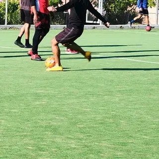 thumbnail for publication: Artificial Turf